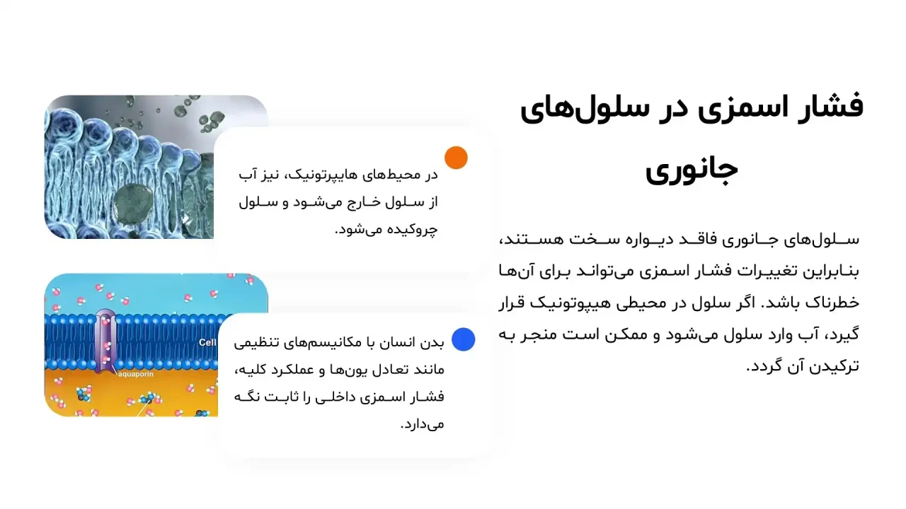 پاورپوینت فشار اسمزی