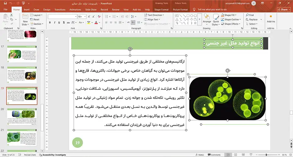 reproduction-powerpoint-02 پاورپوینت تولید مثل