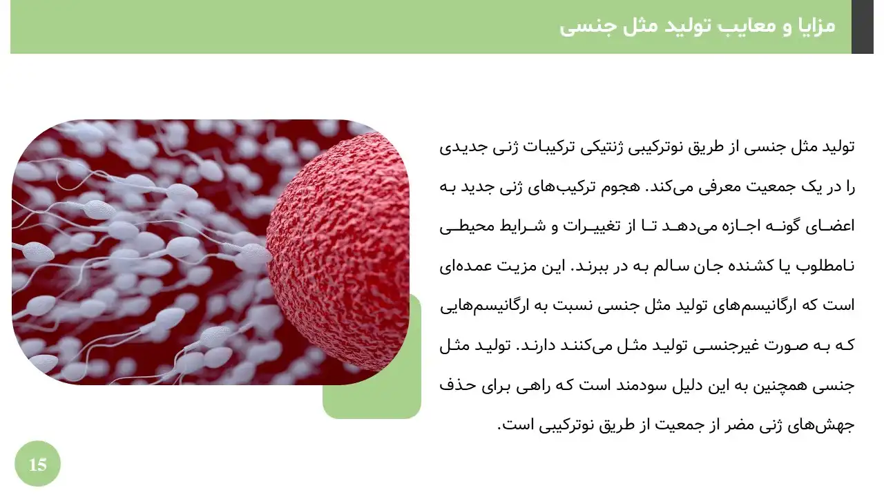 reproduction-powerpoint-07 پاورپوینت تولید مثل