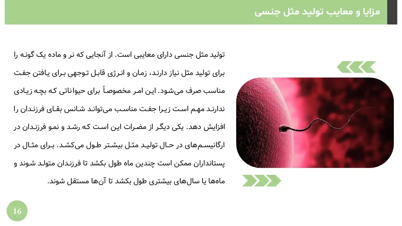 reproduction-powerpoint-08 پاورپوینت تولید مثل