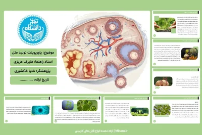 پاورپوینت تولید مثل