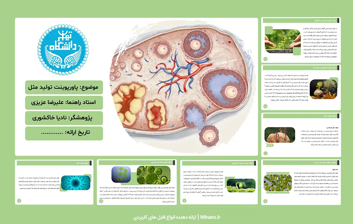 پاورپوینت تولید مثل