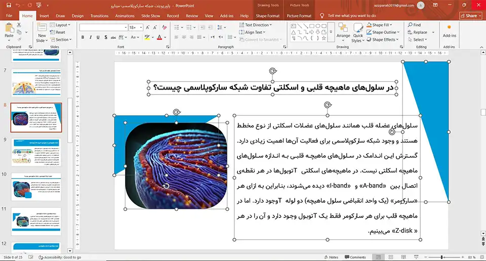 پاورپوینت شبکه سارکوپلاسمی