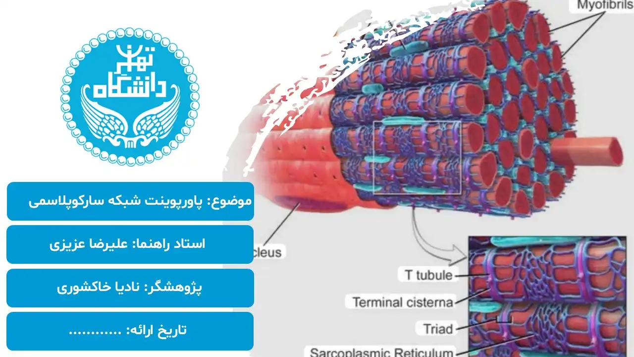 پاورپوینت شبکه سارکوپلاسمی