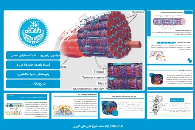 پاورپوینت شبکه سارکوپلاسمی