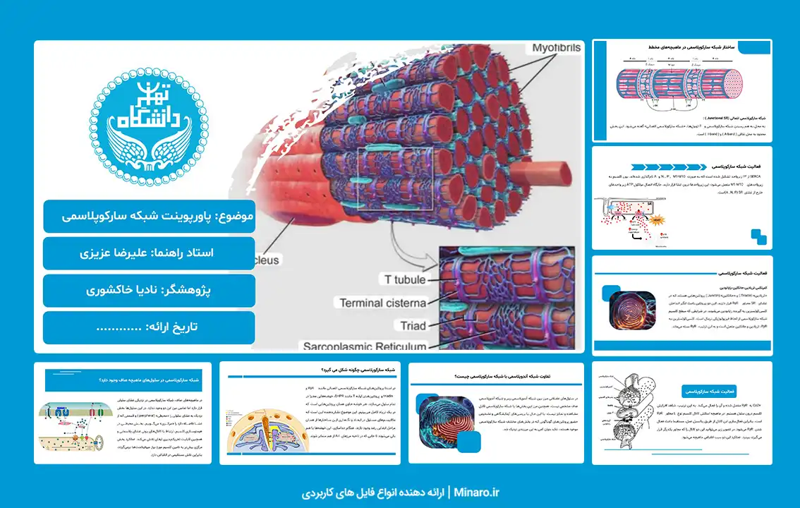 پاورپوینت شبکه سارکوپلاسمی