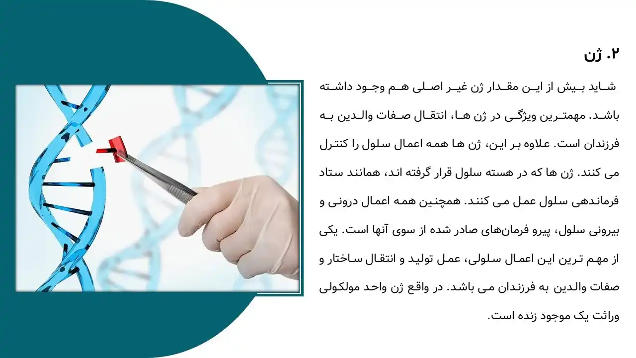 پاورپوینت ساختار و عملکرد مولکول DNA