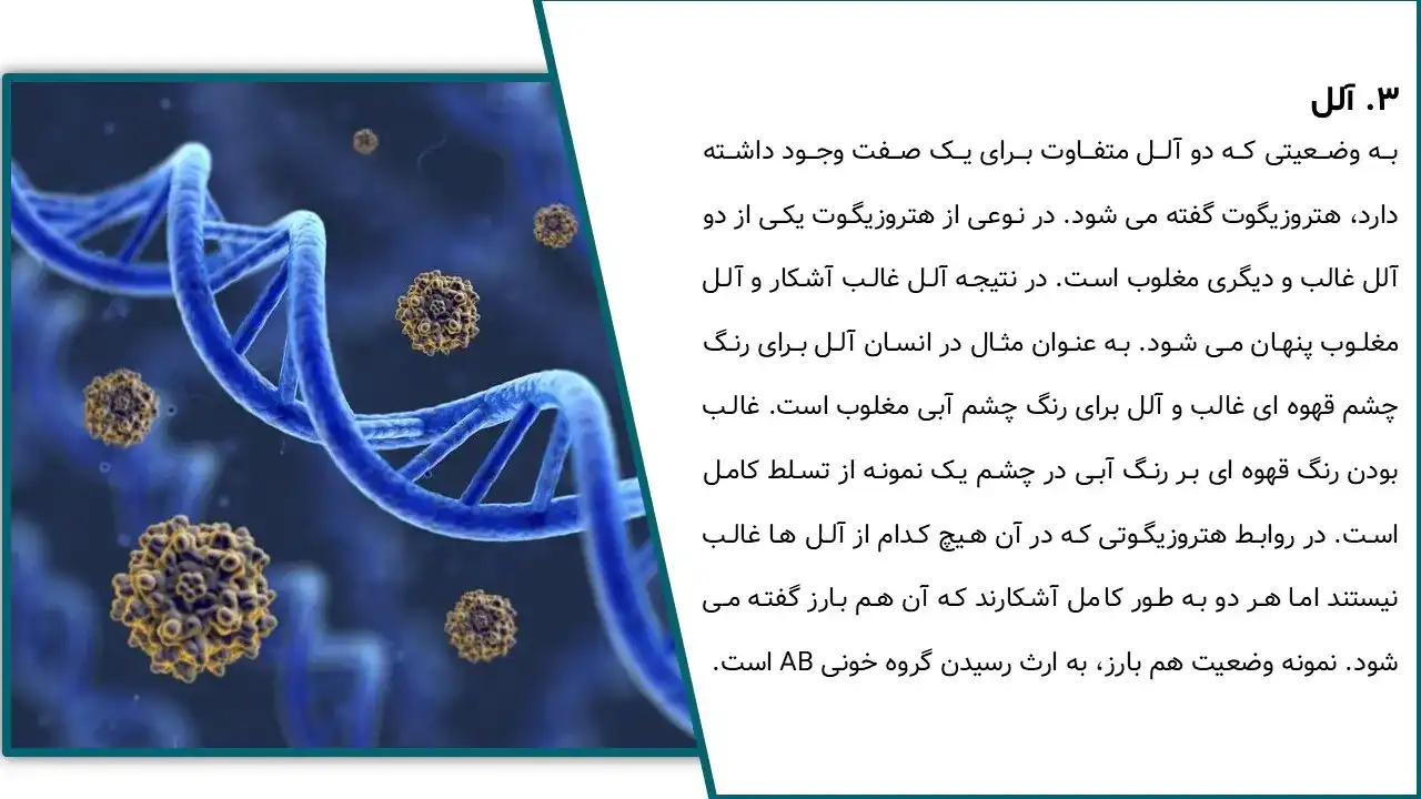 پاورپوینت ساختار و عملکرد مولکول DNA