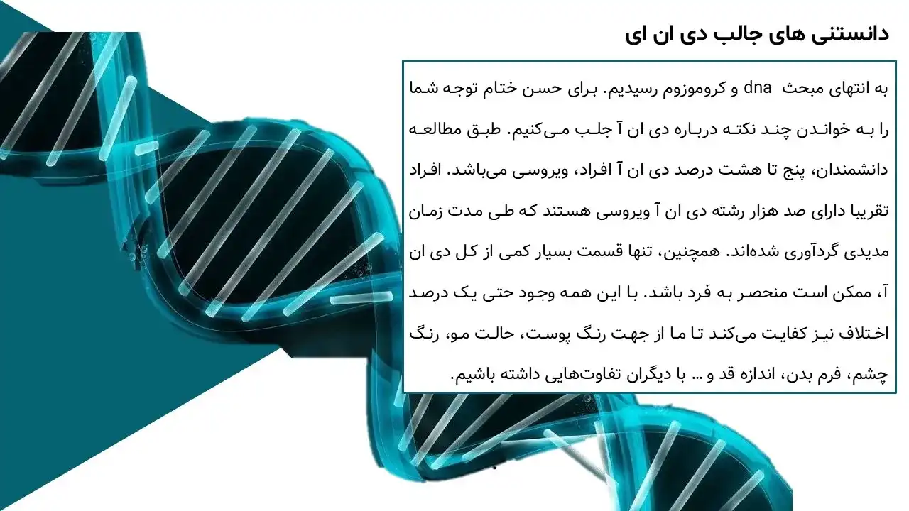 پاورپوینت ساختار و عملکرد مولکول DNA