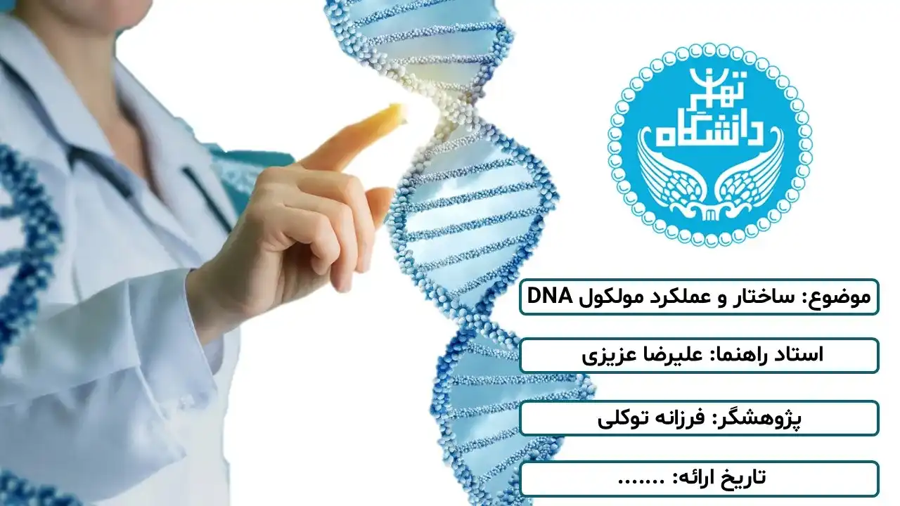 پاورپوینت ساختار و عملکرد مولکول DNA