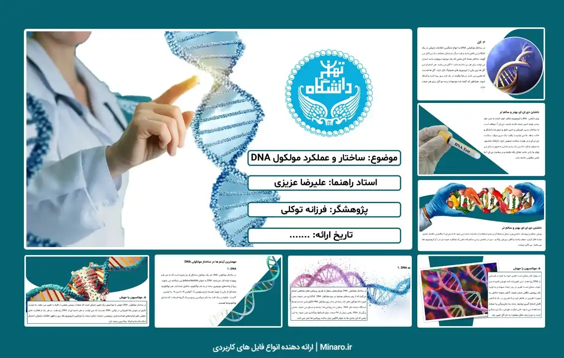 پاورپوینت ساختار و عملکرد مولکول DNA