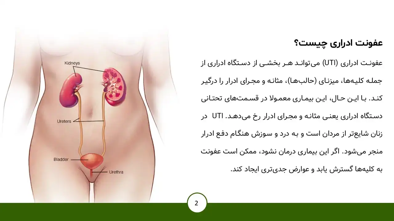 پاورپوینت عفونت ادراری