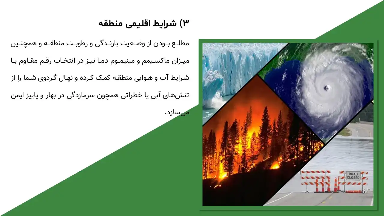 walnut-flowering-powerpoint-06 پاورپوینت گل دهی گردو