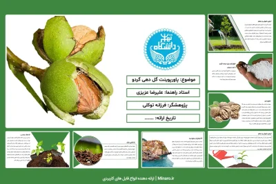 پاورپوینت گل دهی گردو