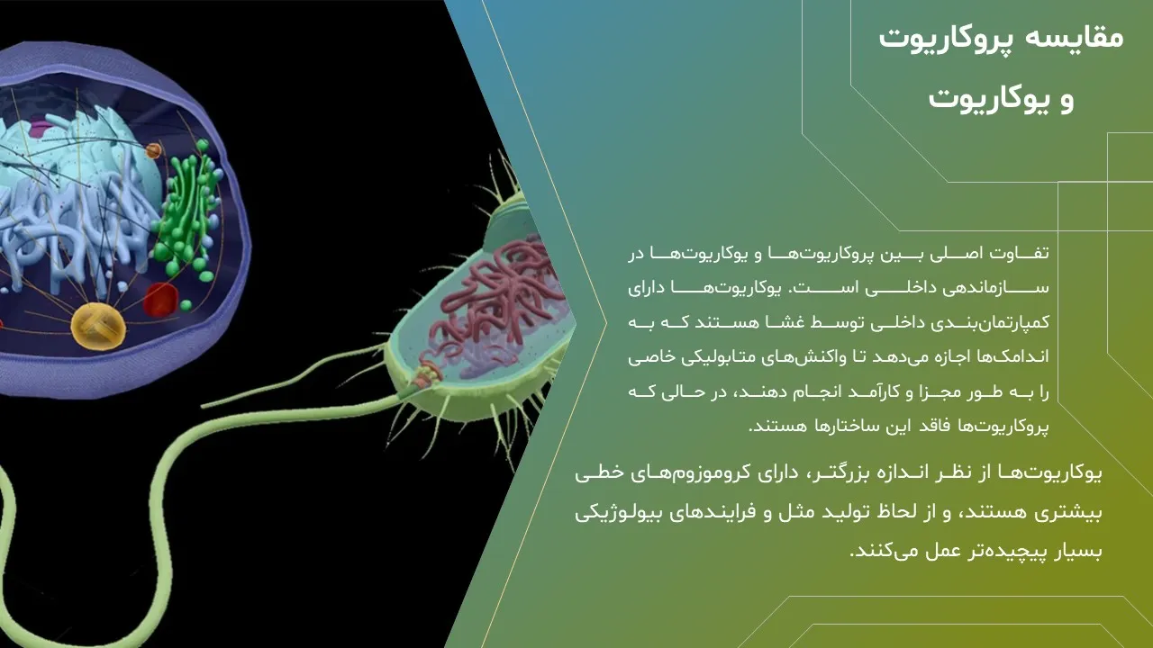 principles-cellular-molecular-biology-07 پاورپوینت اصول بیولوژی سلولی و مولکولی،