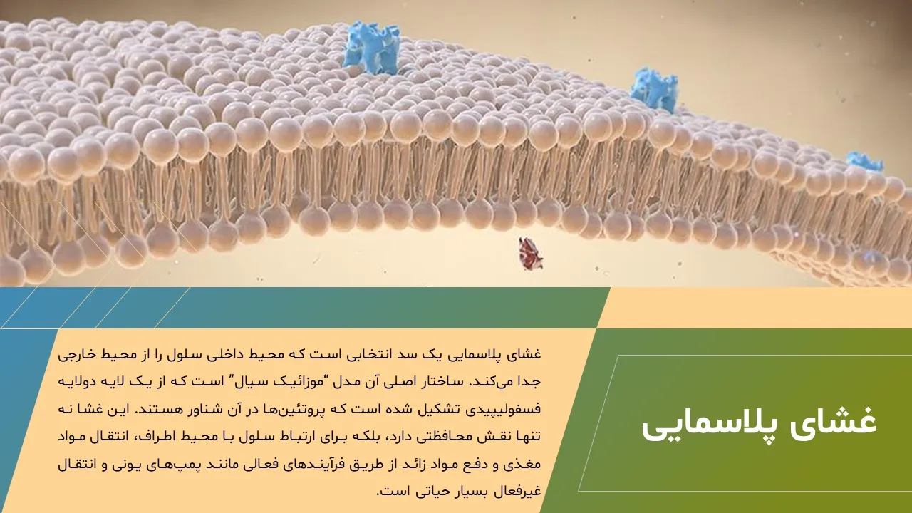 principles-cellular-molecular-biology-08 پاورپوینت اصول بیولوژی سلولی و مولکولی،