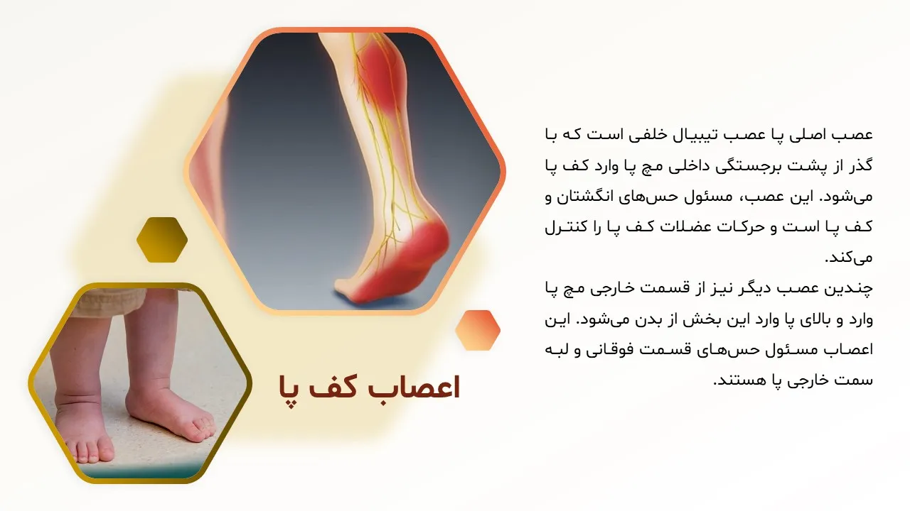 پاورپوینت صافی کف پا