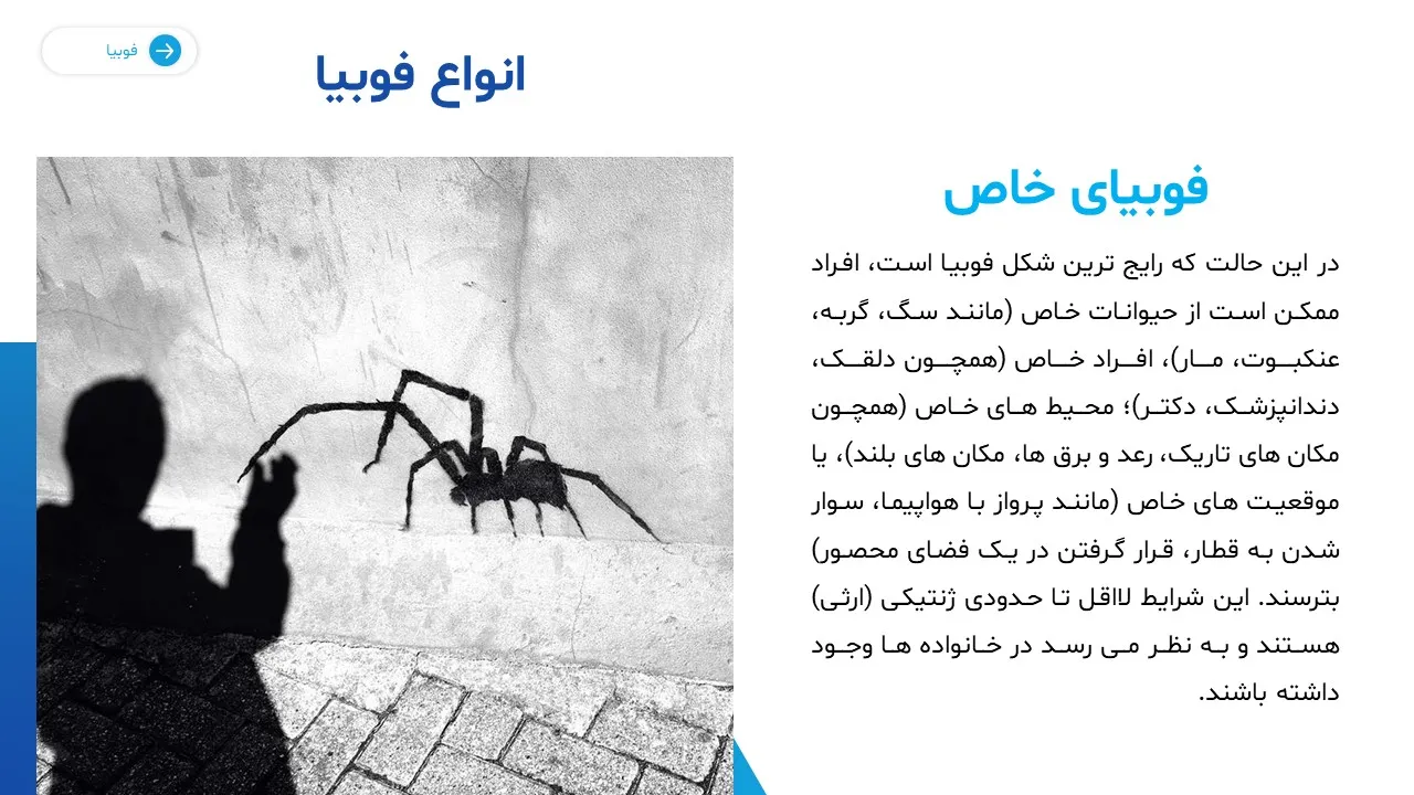 پاورپوینت فوبیا