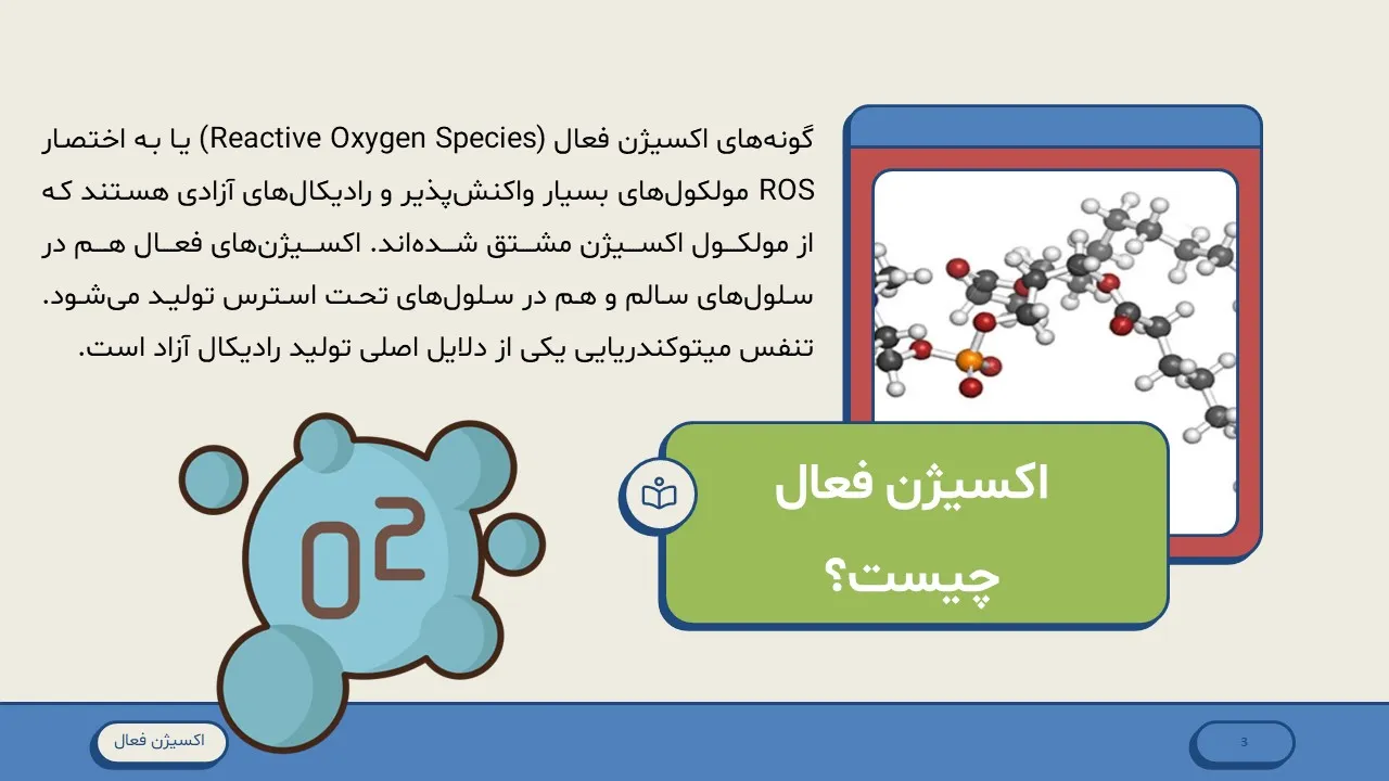 active-oxygen-powerpoint-04 پاورپوینت اکسیژن فعال