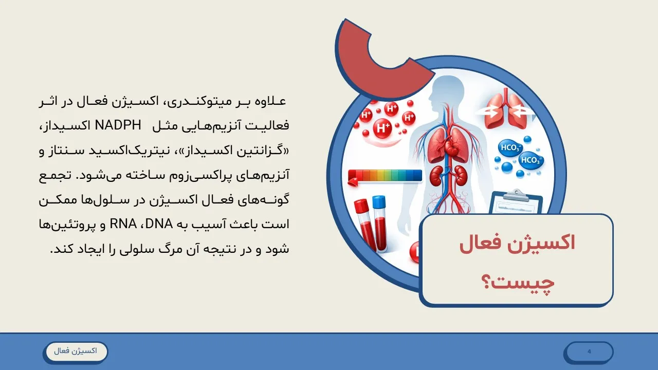 active-oxygen-powerpoint-05 پاورپوینت اکسیژن فعال