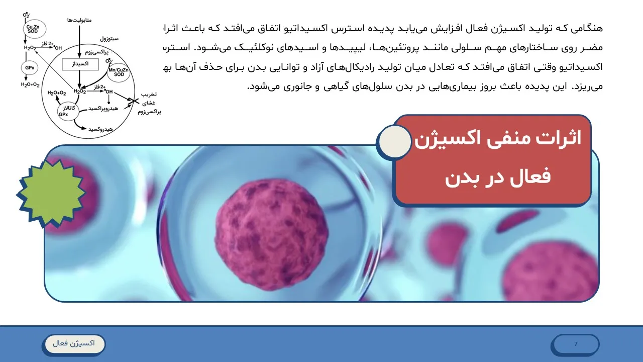 active-oxygen-powerpoint-08 پاورپوینت اکسیژن فعال