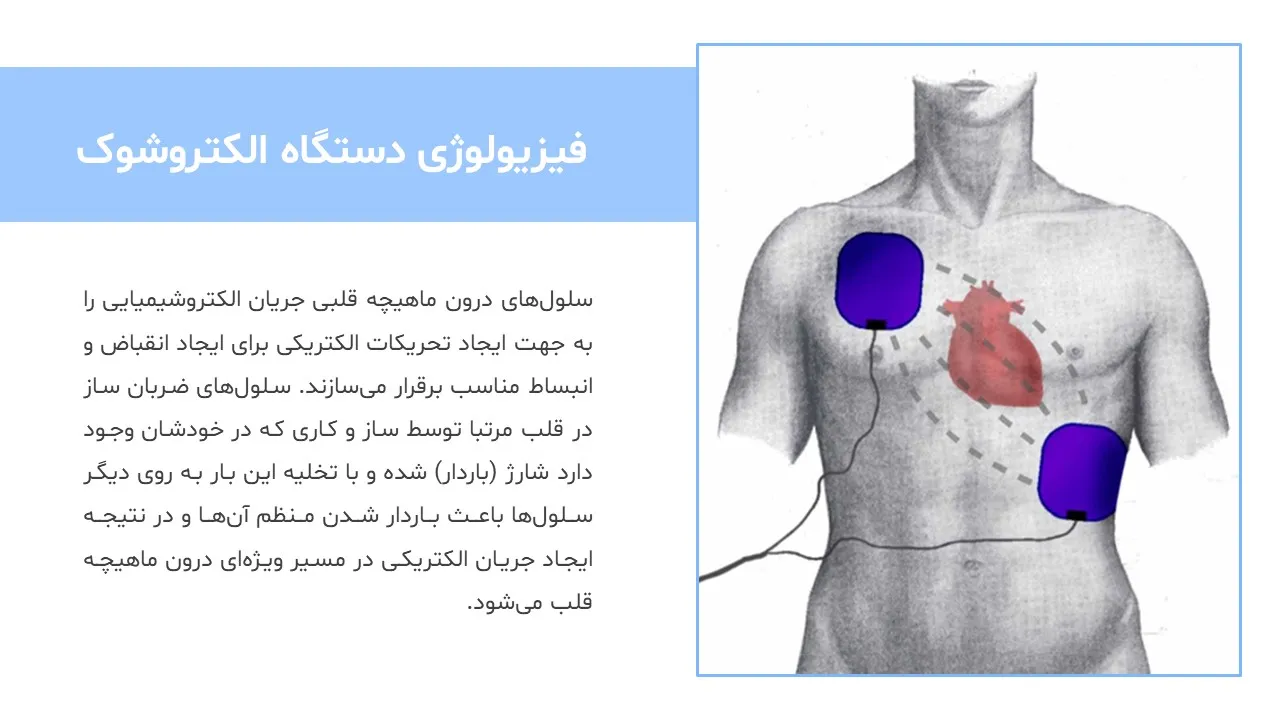electroshock-powerpoint-09 پاورپوینت الکتروشوک