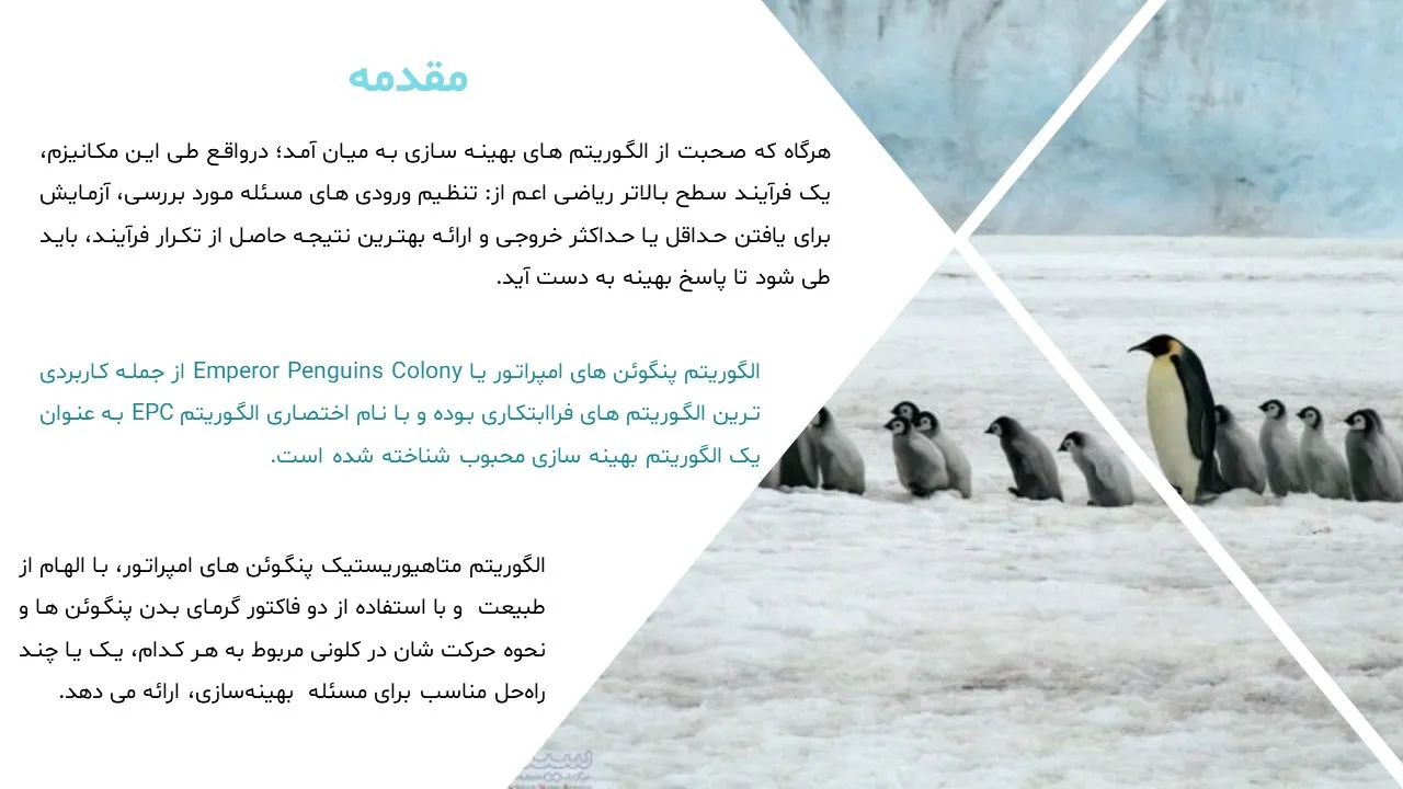 emperor-penguin-clony-algorithm-powerpoint-04 پاورپوینت الگوریتم کلونی پنگوئن های امپراتور
