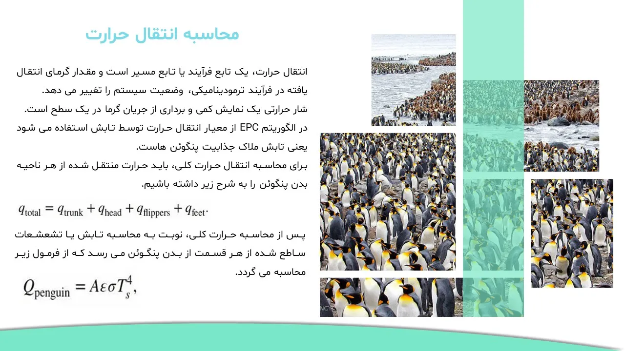 emperor-penguin-clony-algorithm-powerpoint-09 پاورپوینت الگوریتم کلونی پنگوئن های امپراتور