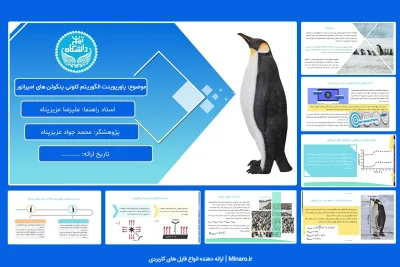 پاورپوینت الگوریتم کلونی پنگوئن های امپراتور