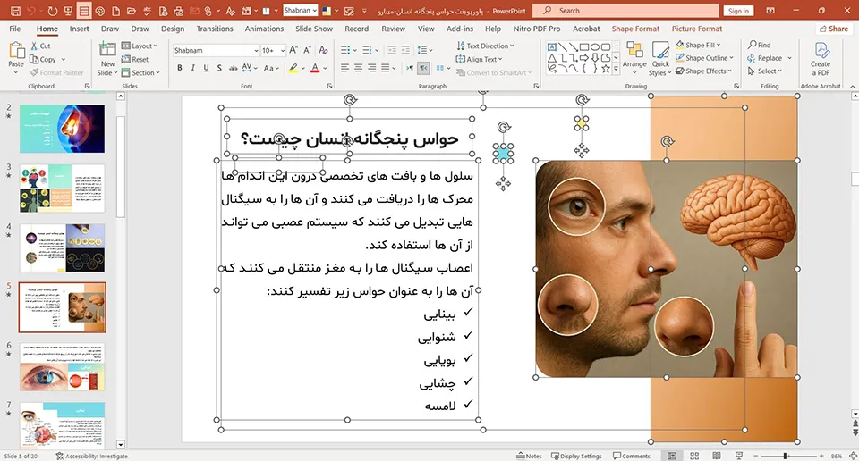 five-human-senses-powerpoint-02 پاورپوینت حواس پنجگانه انسان