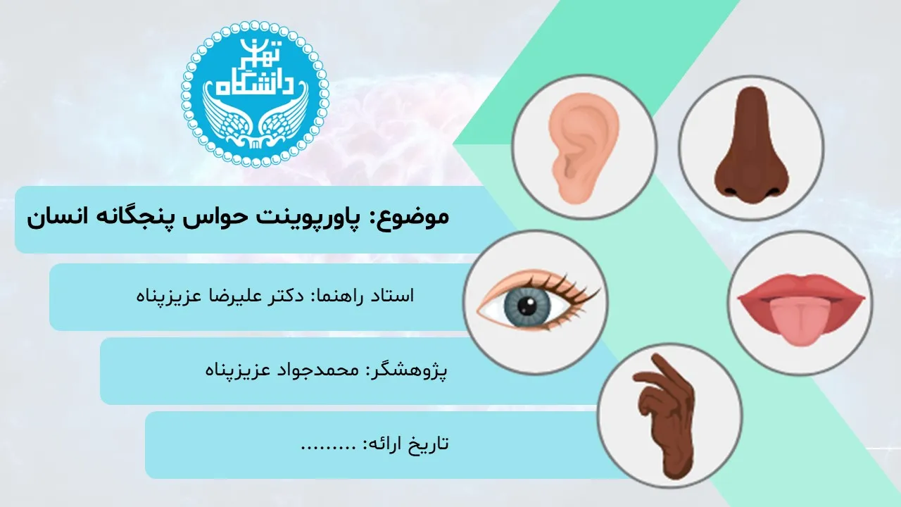 five-human-senses-powerpoint-03 پاورپوینت حواس پنجگانه انسان