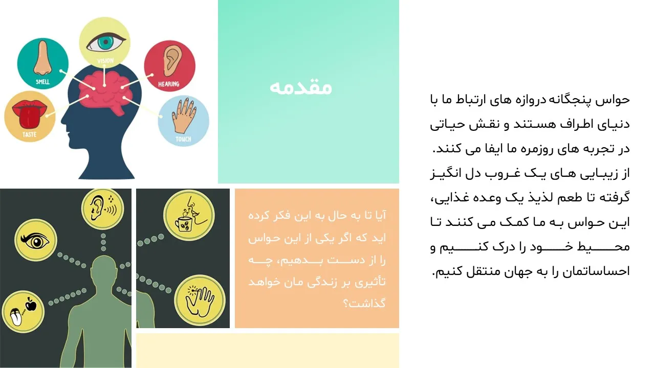 five-human-senses-powerpoint-04 پاورپوینت حواس پنجگانه انسان