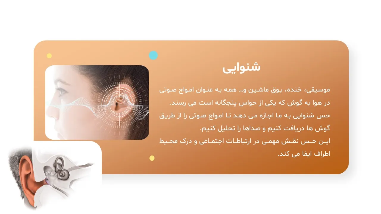 five-human-senses-powerpoint-09 پاورپوینت حواس پنجگانه انسان