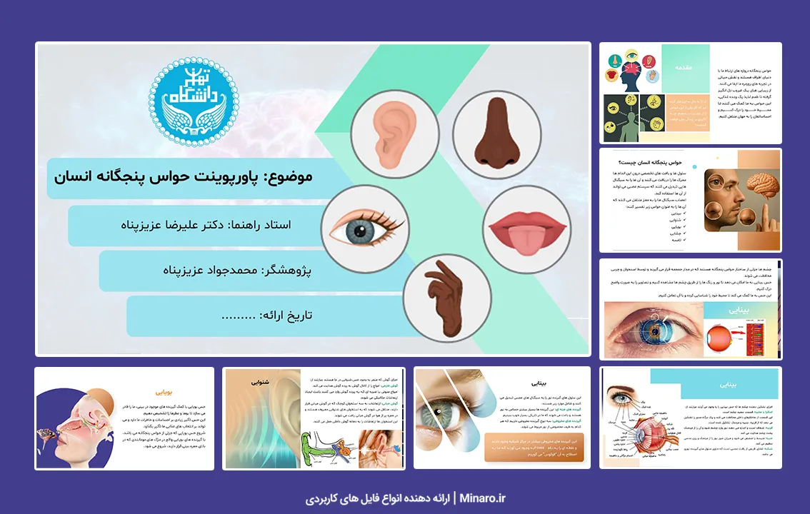 پاورپوینت حواس پنجگانه انسان