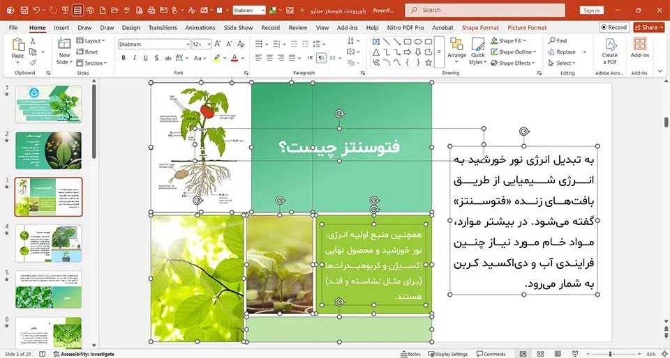 photosynthesis-powerpoint-02 پاورپوینت فتوسنتز