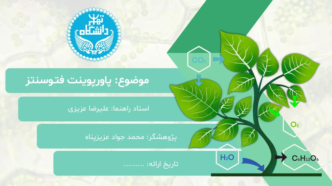 photosynthesis-powerpoint-03 پاورپوینت فتوسنتز