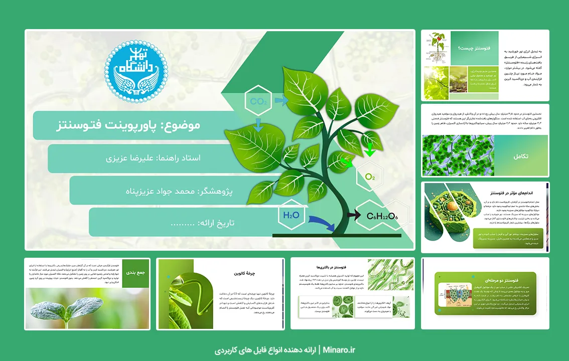 پاورپوینت فتوسنتز