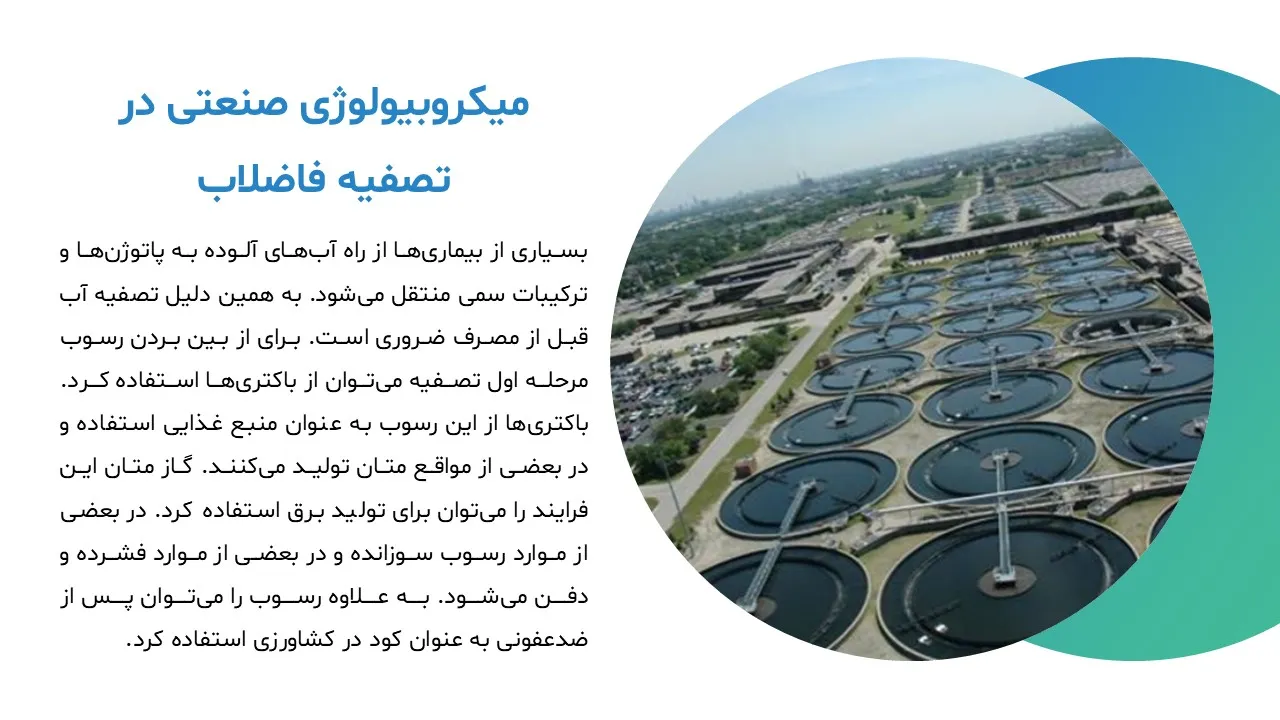 پاورپوینت میکروبیولوژی صنعتی