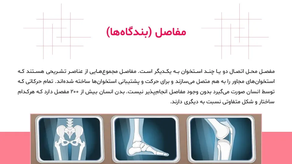پاورپوینت سیستم حرکتی بدن