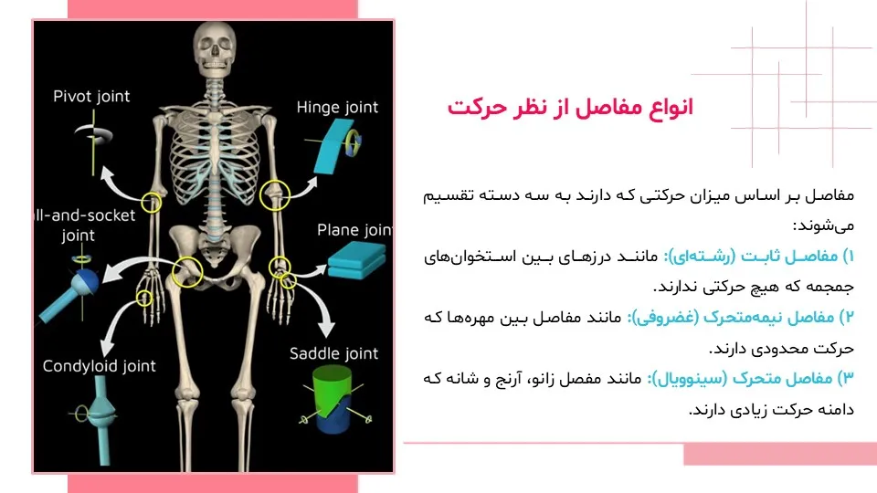 پاورپوینت سیستم حرکتی بدن