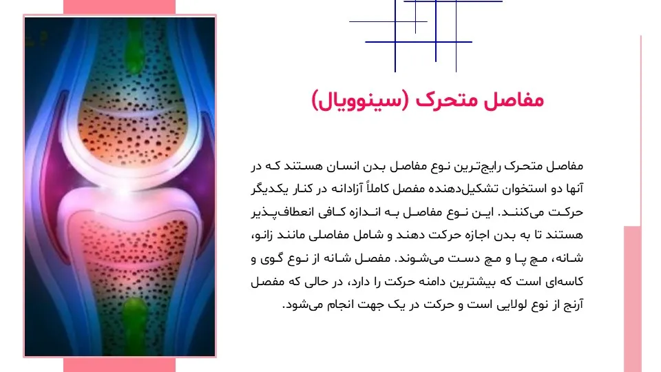 پاورپوینت سیستم حرکتی بدن
