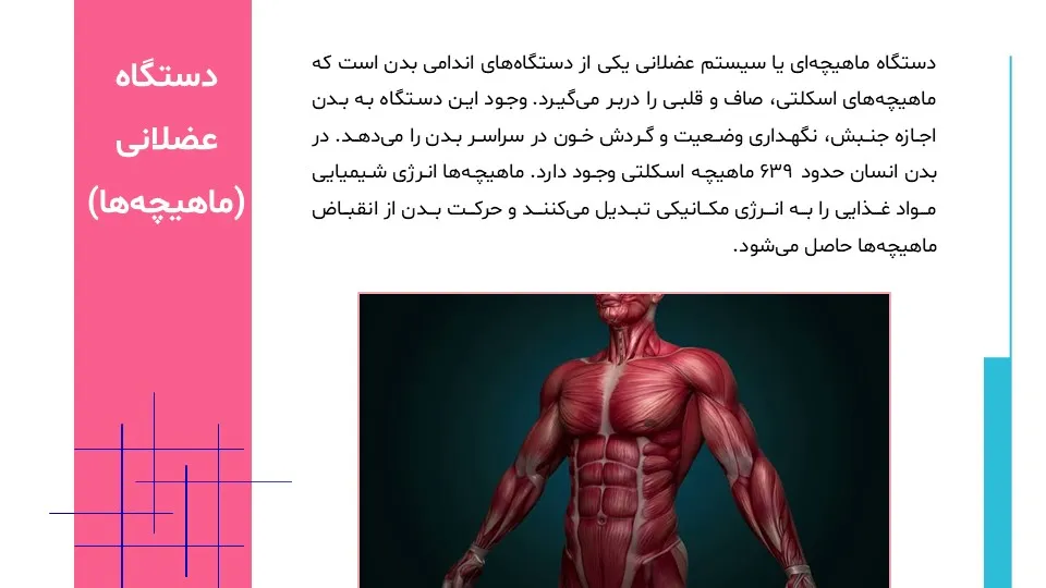 پاورپوینت سیستم حرکتی بدن