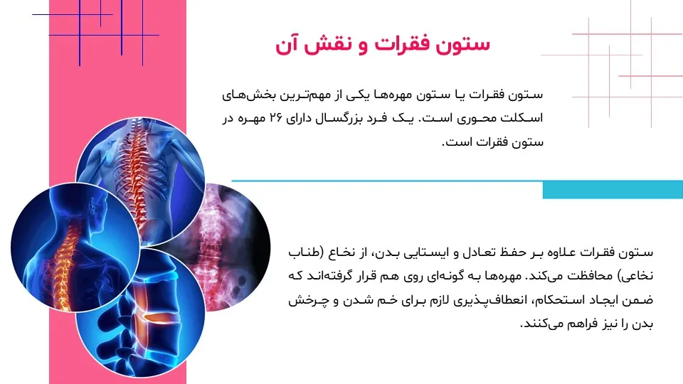 پاورپوینت سیستم حرکتی بدن