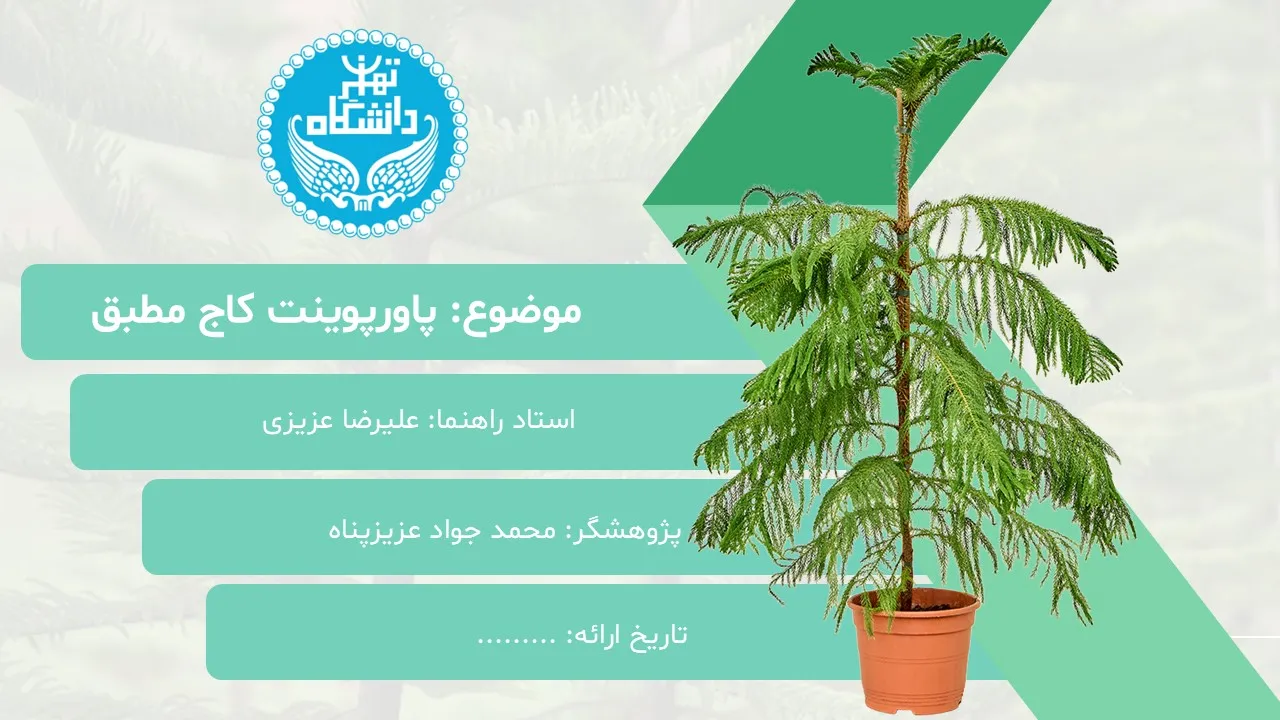 pine-tree-powerpoint-02 پاورپوینت کاج مطبق