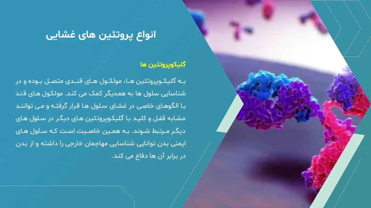 پاورپوینت غشای پلاسمایی یا غشای سلولی
