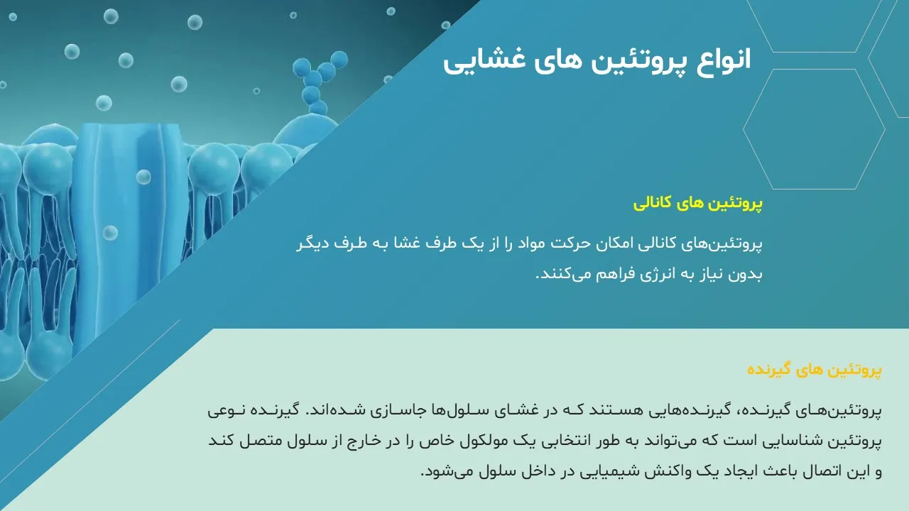 پاورپوینت غشای پلاسمایی یا غشای سلولی