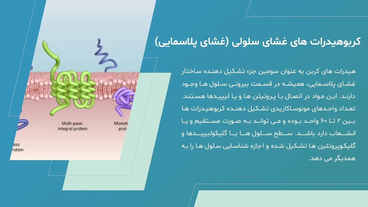 پاورپوینت غشای پلاسمایی یا غشای سلولی