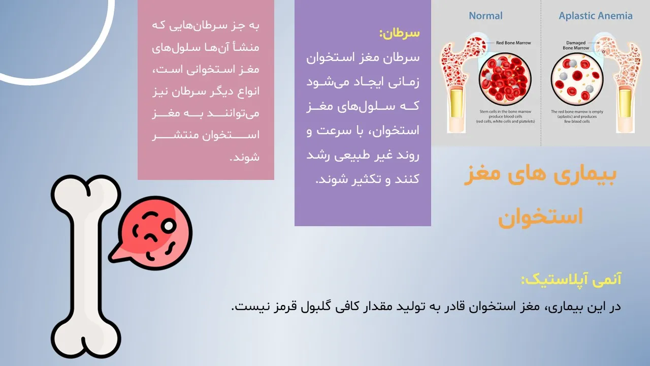 پاورپوینت ساختار و بیماری های مغز استخوان
