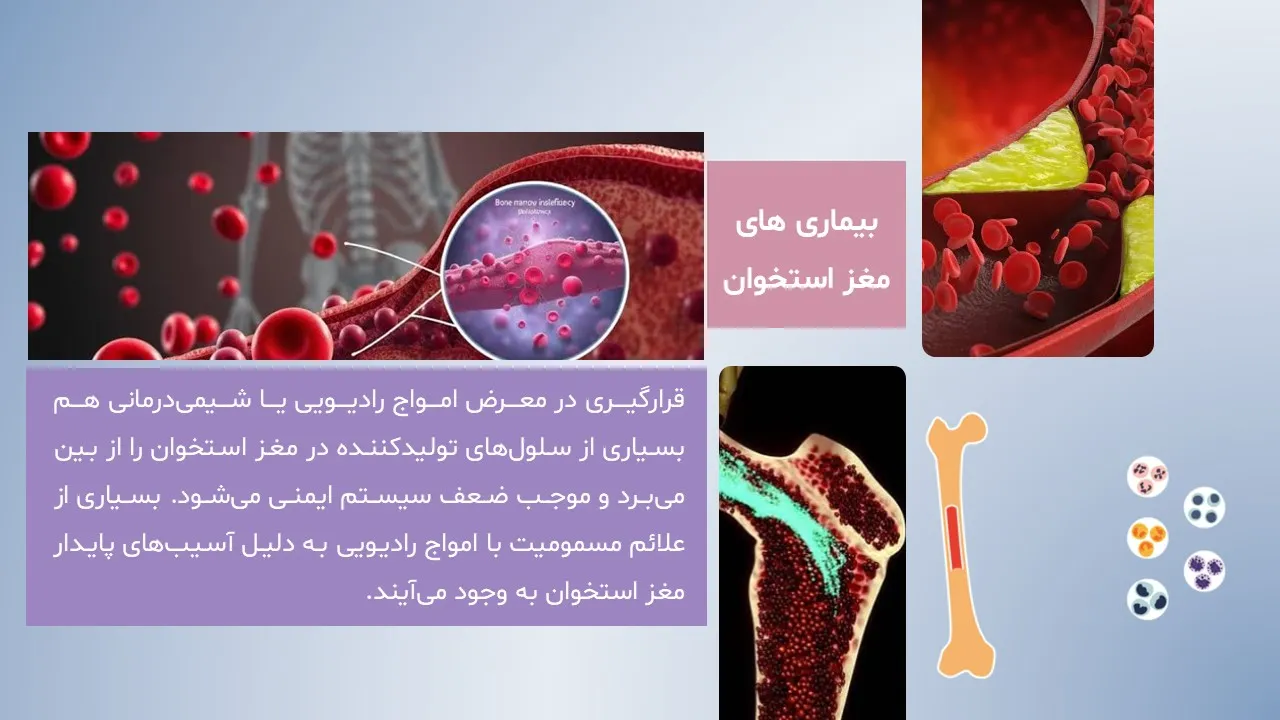 پاورپوینت ساختار و بیماری های مغز استخوان