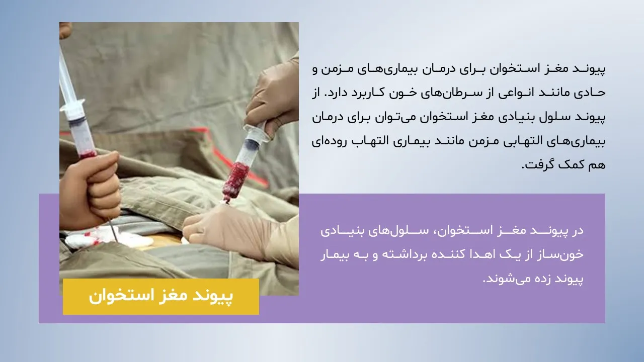 پاورپوینت ساختار و بیماری های مغز استخوان